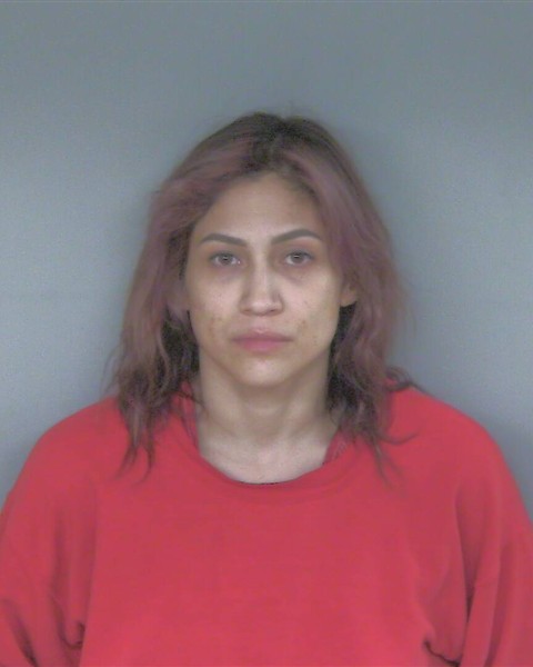 Photo of ELIZABETH NICOLE YOSS